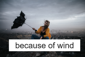 風のせい