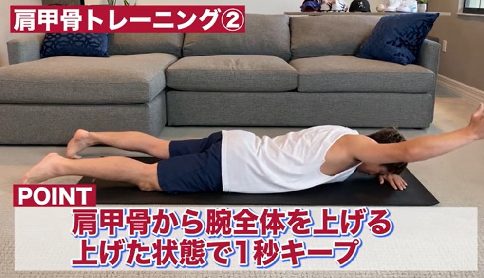肩甲骨