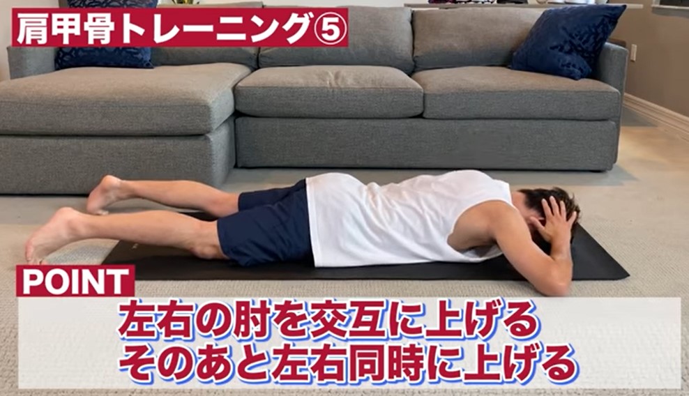 肩甲骨5