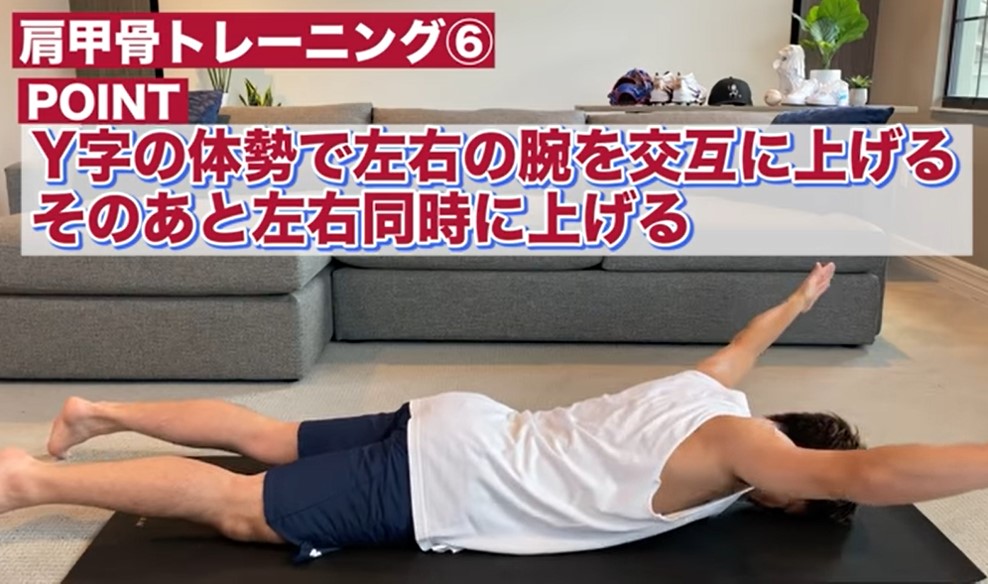 肩甲骨6