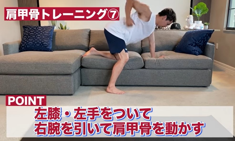 肩甲骨7